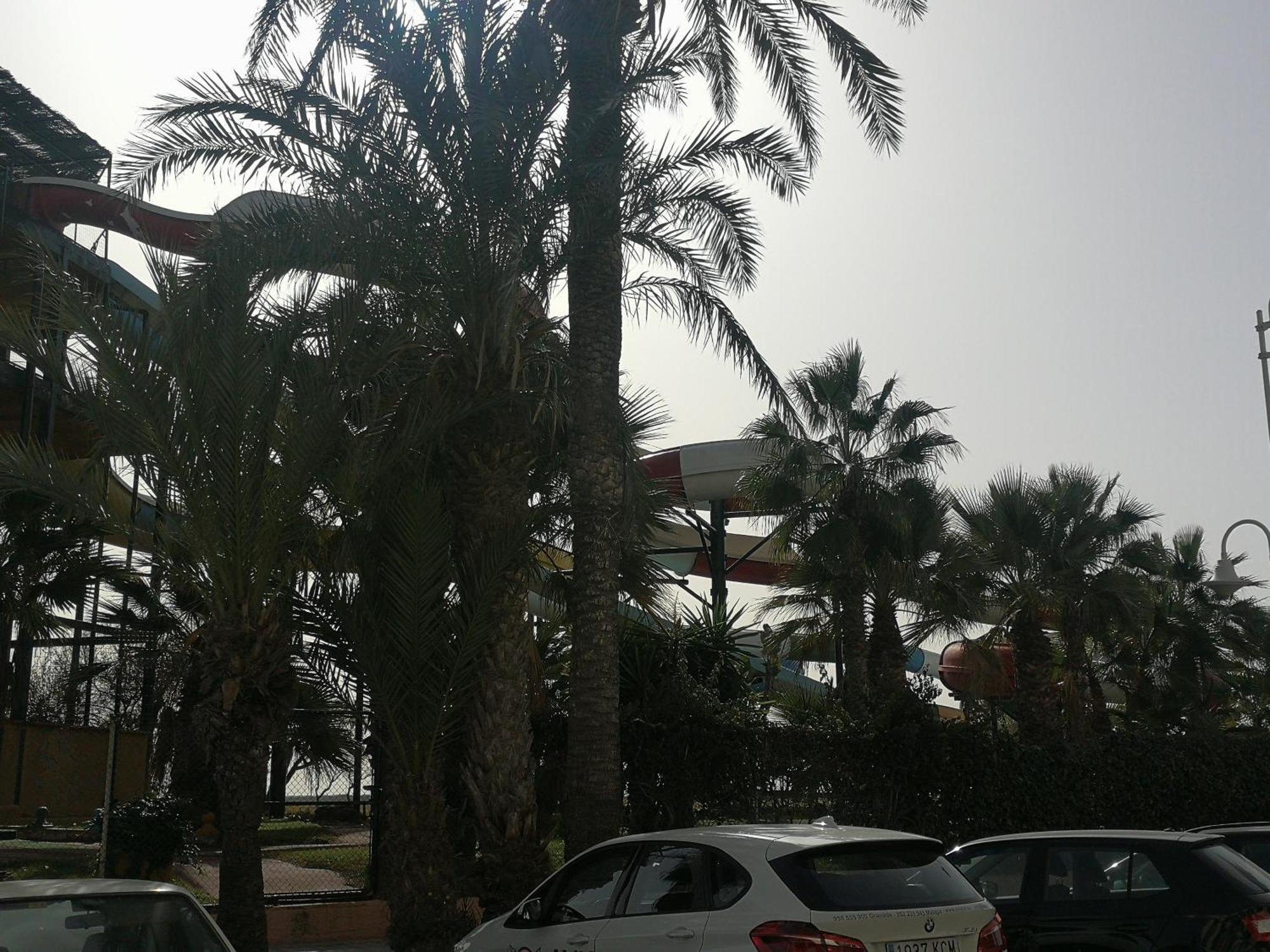 Apartamento Playa Velilla Park II Almuñécar Zewnętrze zdjęcie